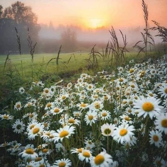 Meet your Posher, Debra - Picture 1 of 1